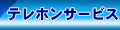 �e���z���T�[�r�X