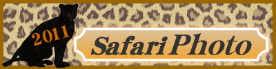 2011Safari Photo