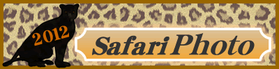 2012Safari Photo